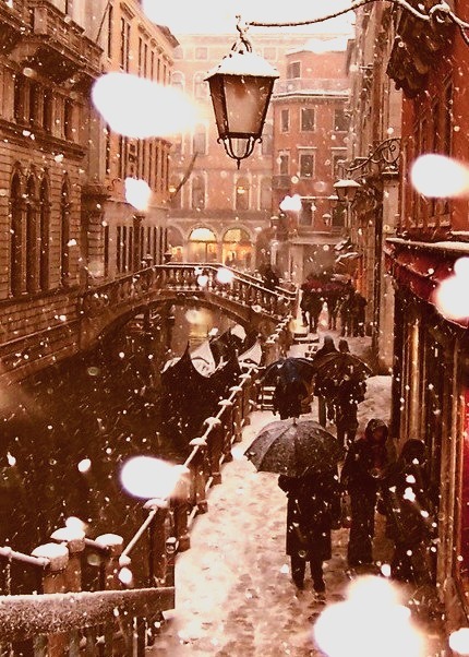 Elegance, Snowflake, Winter, Venice, Snow
